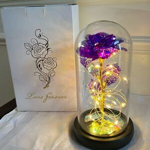 Purple rose in glass dome. New in box.